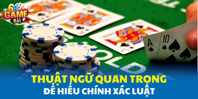 Thuật ngữ quan trọng để hiểu chính xác luật Thuật ngữ quan trọng để hiểu chính xác luật